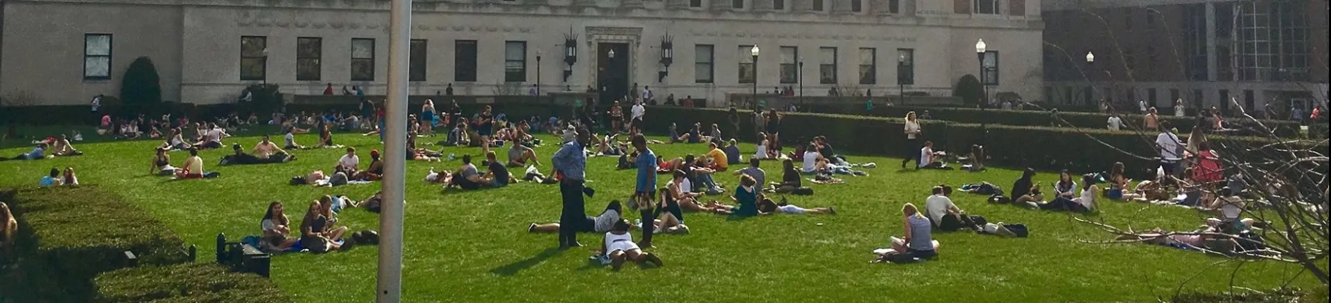 Butler lawn in spring