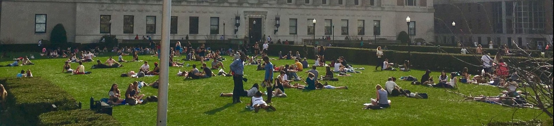 Butler lawn in spring